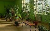 изображение_viber_2025-08-13_16-13-52-713